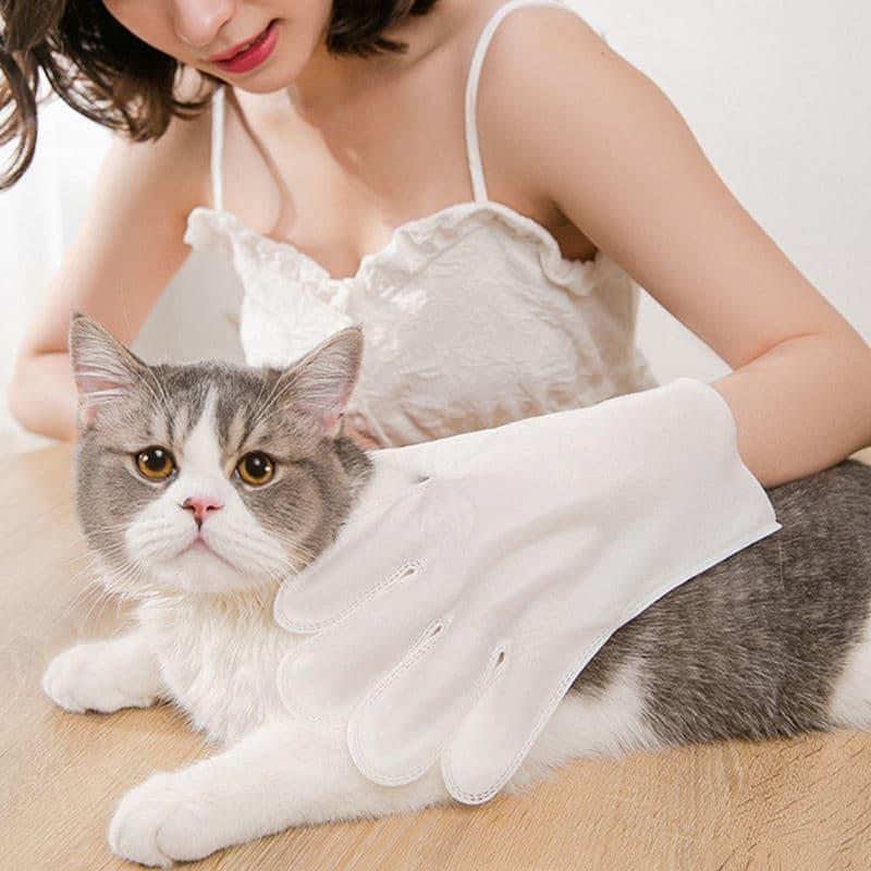 Pet No-Rinse Cleaning Gloves for Dogs and Cats