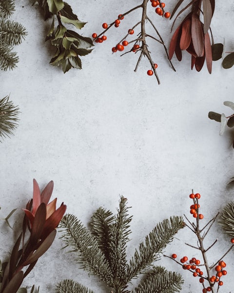 Seasonal & Festive