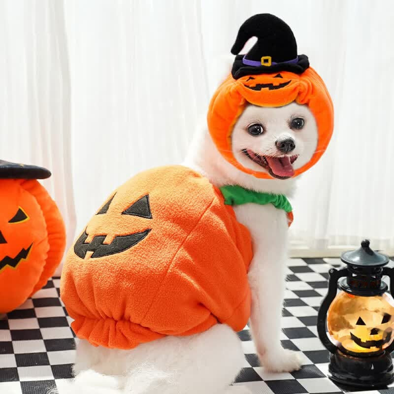 Halloween Pet Dog Cat Costume