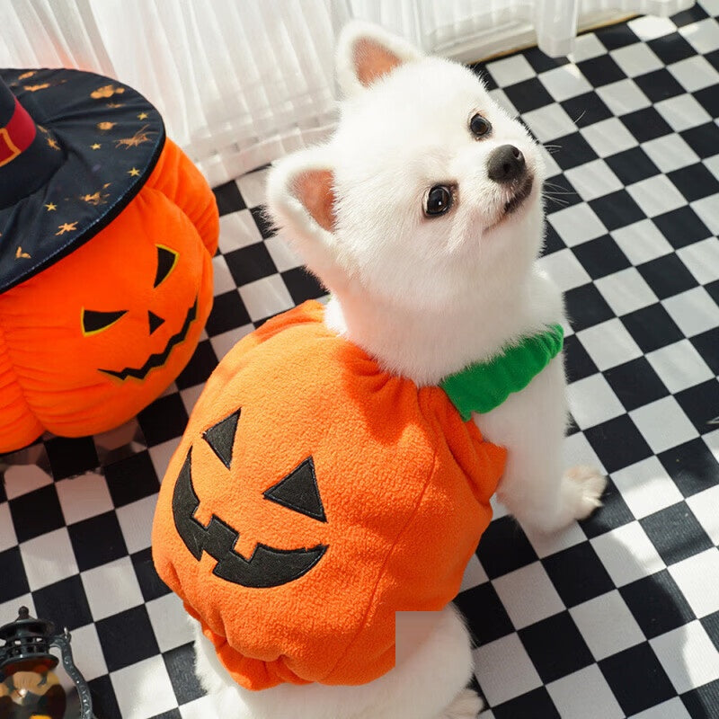Halloween Pet Dog Cat Costume