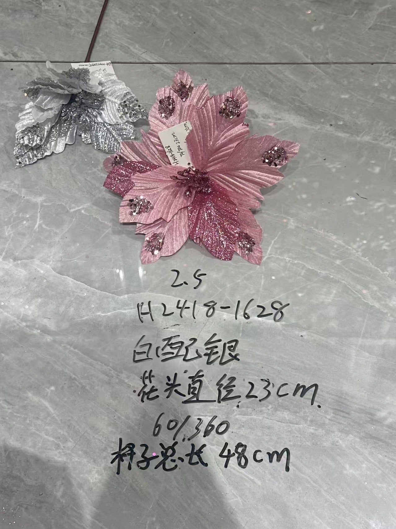 Christmas White with Silver-Edged Flower Head