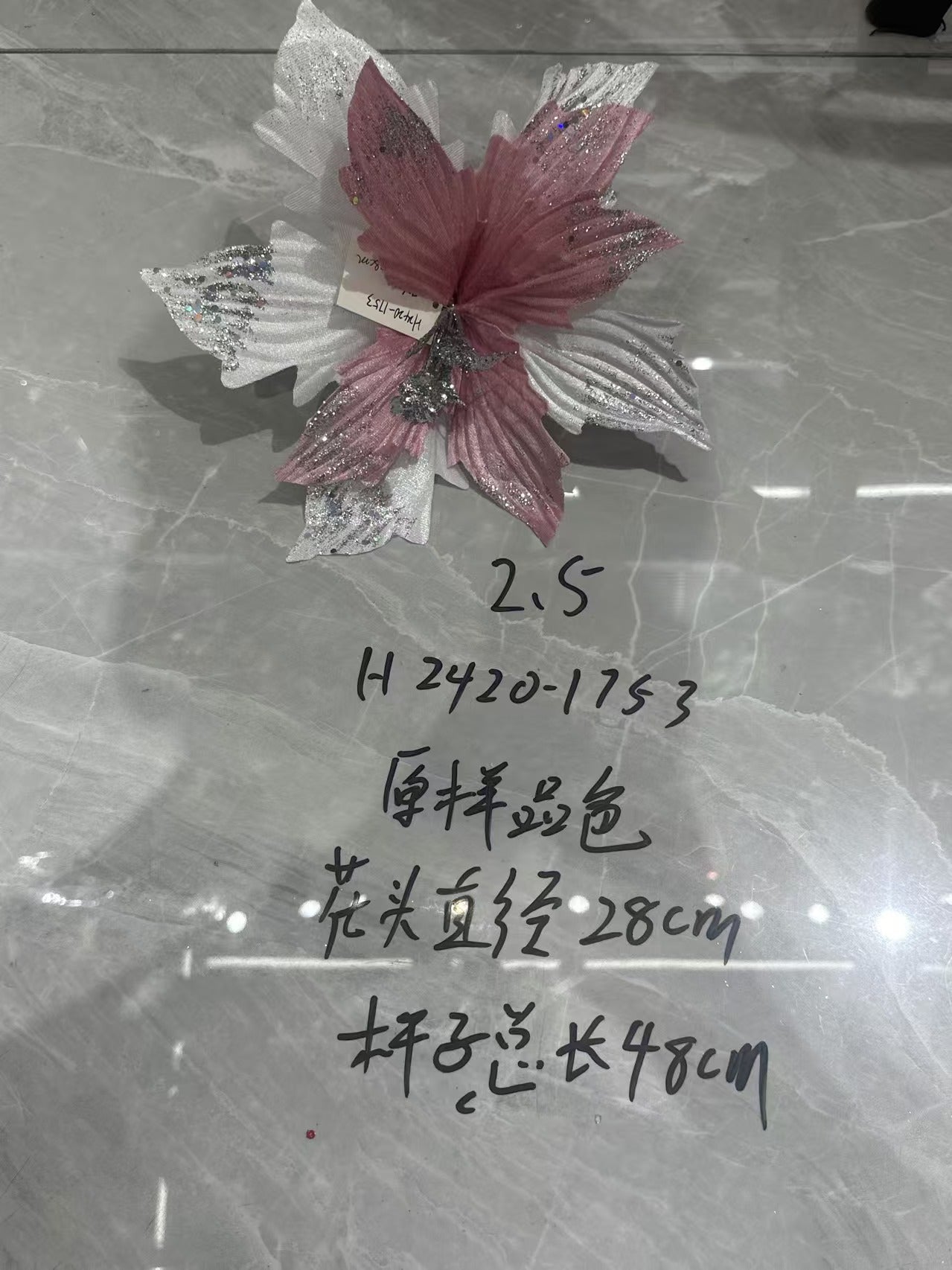 Christmas White-Edged Pink Flower Head