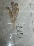 5-Pronged Phoenix Tail