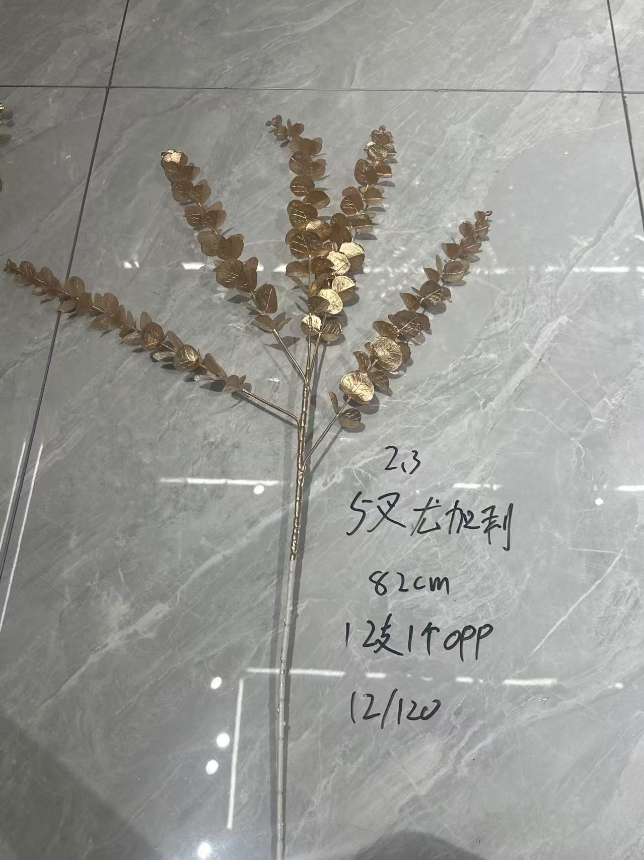 5-Pronged Eucalyptus