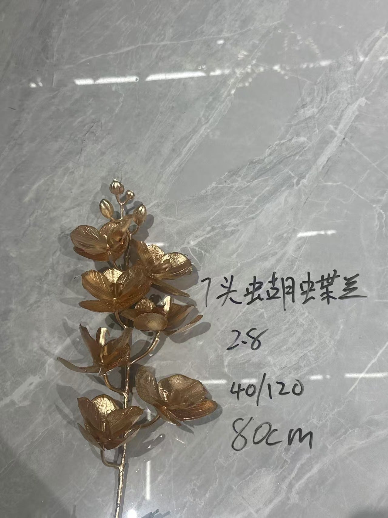 7-Headed Phalaenopsis Orchid
